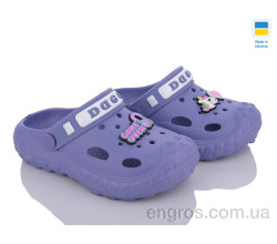 Кроксы Golden Lion